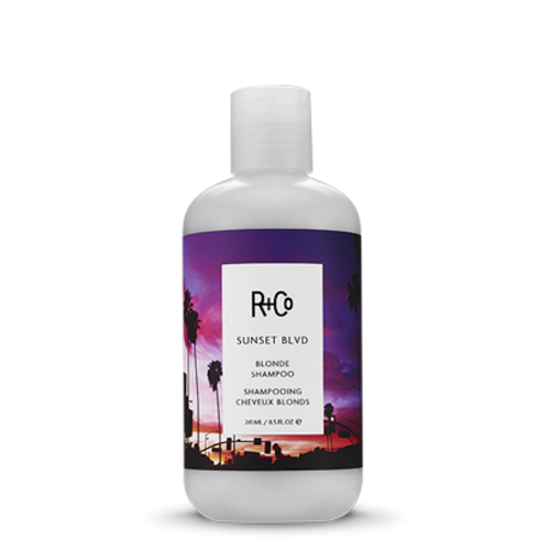 R+Co - SUNSET BLONDE Shampoo 8.5 oz bottle with purple graphic background 
